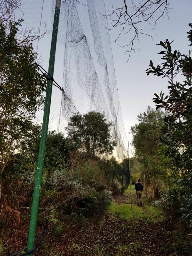 June Checking the nets on a cold winters morning1