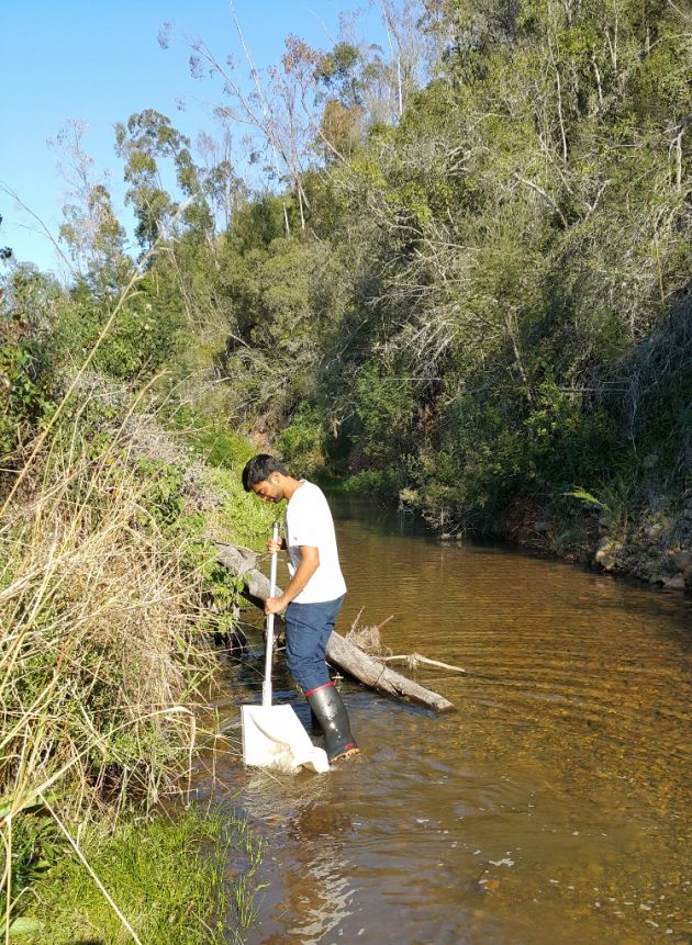 14.3 Collecting a sample of macroinvertebrates at our new site