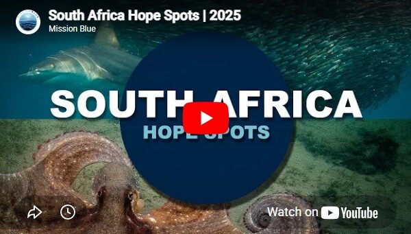 mission blue plett hope spot