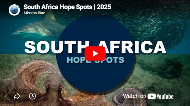 mission blue plett hope spot